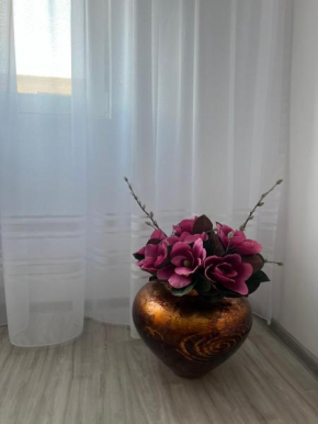 Apartament Tudor